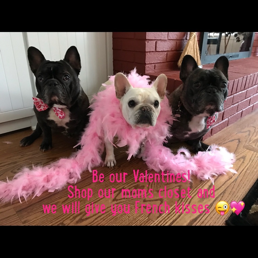 💗💗💗💗💗💗💗💗💗